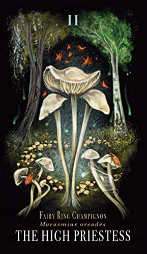 Midnight Magic: A Tarot Deck of Mushrooms